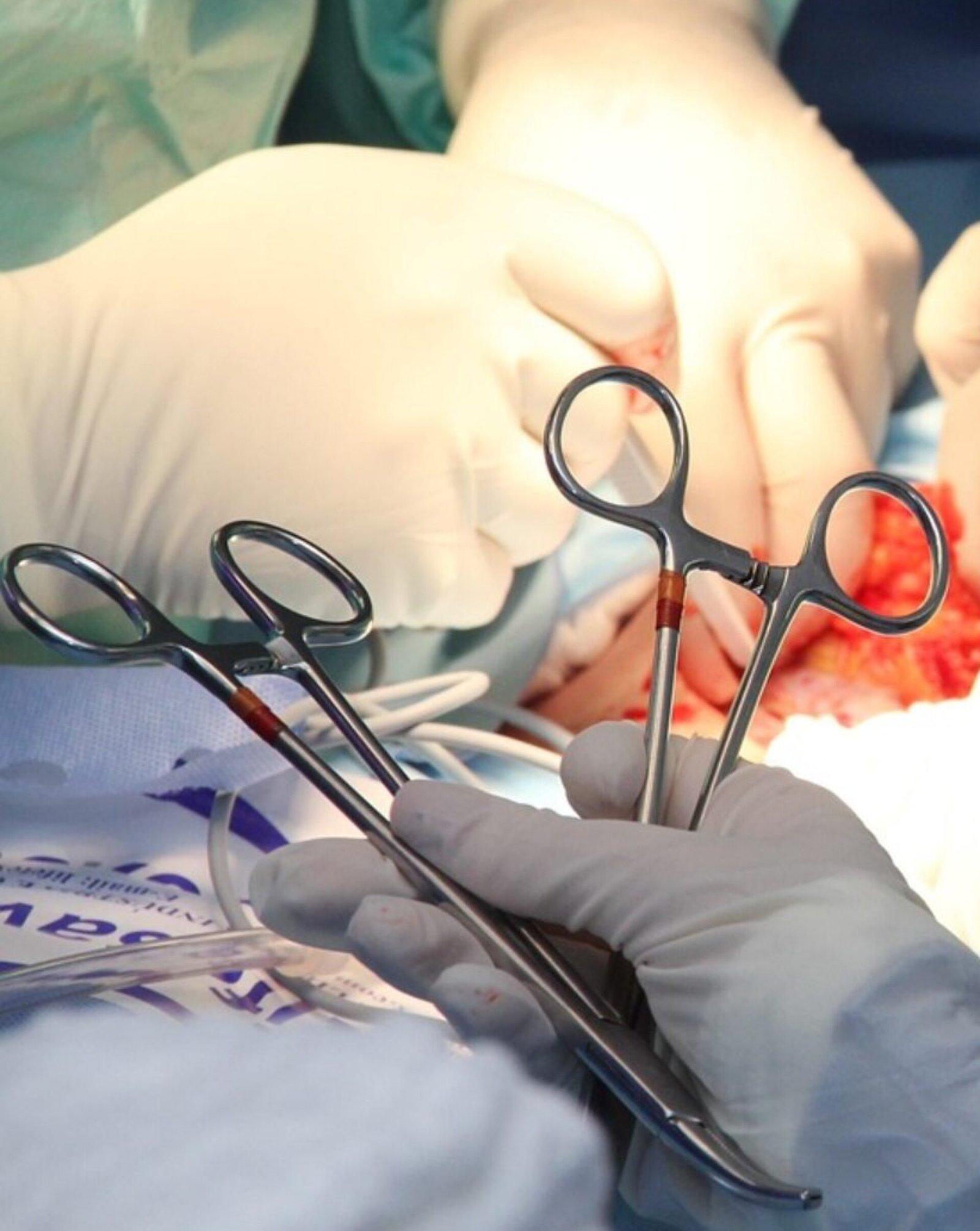 g69270b0fb16dbe1c2769e4955ea5b36690e90db4671ca6bbb0ceae0775b02435e2911eec0cb8ebdf463a9257dcd99d47 1280