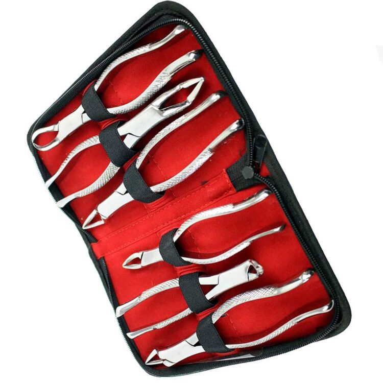 best quality 6 piece tooth extraction forceps set – english pattern dental surgical instruments with case