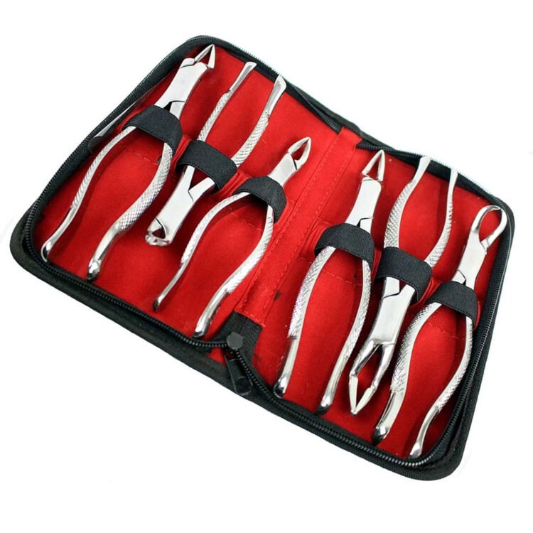 best quality 6 piece tooth extraction forceps set – english pattern dental surgical instruments with case