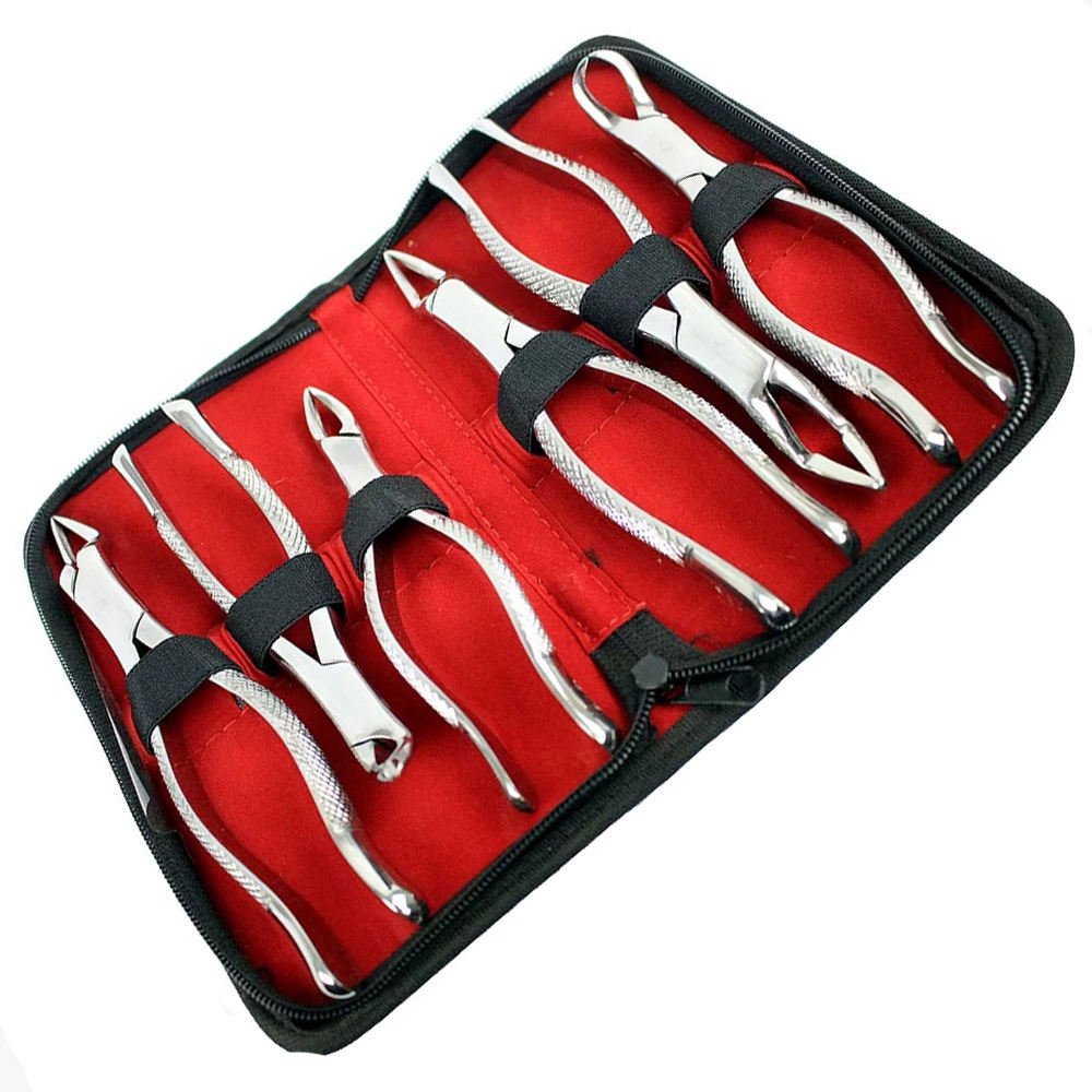 Best Quality 6-Piece Tooth Extraction Forceps Set – English Pattern Dental Surgical Instruments with Case best quality 6 piece tooth extraction forceps set – english pattern dental surgical instruments with case