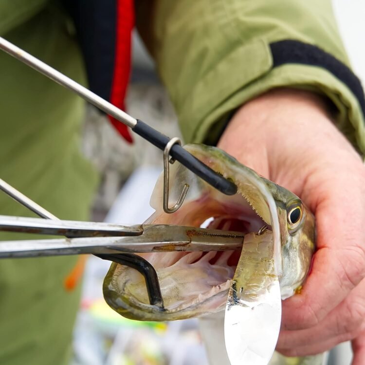 Beauity Kit Instrument