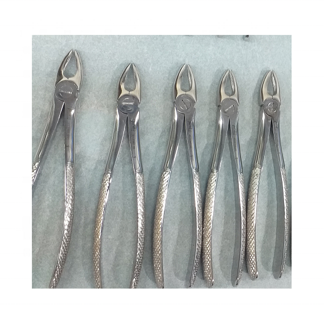 teeth extraction forceps – dental surgical instruments | stainless steel | wholesale price