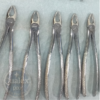teeth extraction forceps – dental surgical instruments | stainless steel | wholesale price