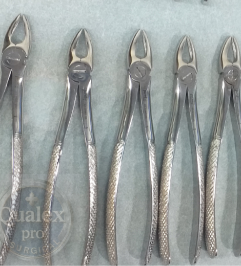 teeth extraction forceps – dental surgical instruments | stainless steel | wholesale price