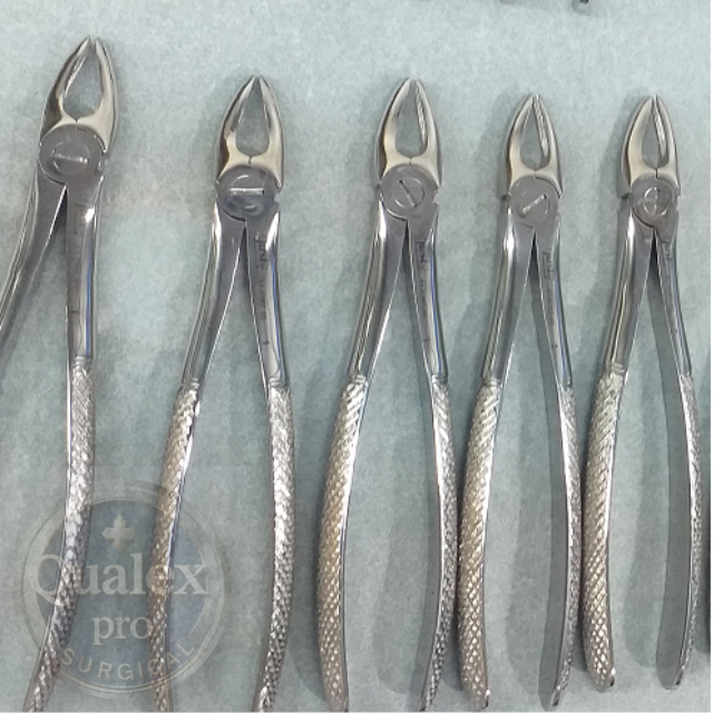 teeth extraction forceps – dental surgical instruments | stainless steel | wholesale price